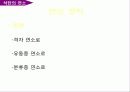 석탄의 특성 및 연소 22페이지