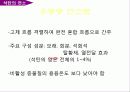 석탄의 특성 및 연소 24페이지