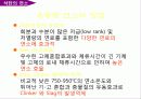석탄의 특성 및 연소 28페이지