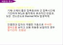 석탄의 특성 및 연소 29페이지