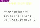 석탄의 특성 및 연소 30페이지
