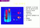 석탄의 특성 및 연소 34페이지