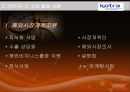 KOTRA 분석 12페이지