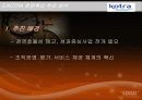 KOTRA 분석 17페이지