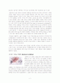 아동표현발달: 로웬펠드의 어린이미술 발달단계를 중심으로 3페이지
