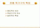 전통가구 (반닫이, 함 , 궤) 3페이지