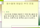단초화운동 2페이지