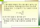 단초화운동 3페이지