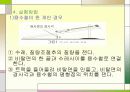 단초화운동 7페이지