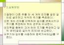 단초화운동 13페이지