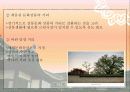 600년 역사도시의 풍경 , 북촌한옥마을 13페이지