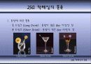 칵테일에 대하여 23페이지