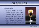 칵테일에 대하여 40페이지