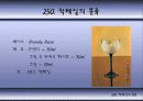 칵테일에 대하여 43페이지