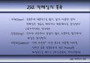 칵테일에 대하여 52페이지