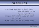 칵테일에 대하여 55페이지