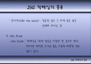 칵테일에 대하여 60페이지