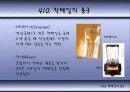 칵테일에 대하여 75페이지