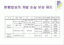 개발손실보상제도 13페이지