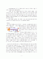 뇌이론과 기독교교육 4페이지