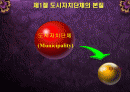 도시정부의 기관구성 2페이지
