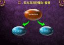 도시정부의 기관구성 5페이지
