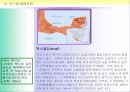 유네스코 지정 세계문화유산 조사 보고서 10페이지