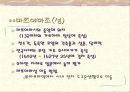 시코쿠 여행 계획서 19페이지