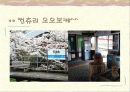 시코쿠 여행 계획서 27페이지