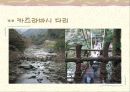 시코쿠 여행 계획서 28페이지