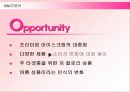 배스킨라빈스의 마케팅전략과 성공요인 11페이지