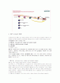 MAPK(신호전달) 3페이지