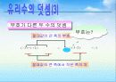 [파워포인트]중1수학-정수와유리수의 덧셈 11페이지