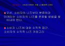소비의 심리학 발표 ppt 4페이지