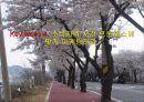 소비의 심리학 발표 ppt 13페이지
