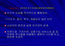 소비의 심리학 발표 ppt 15페이지