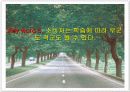 소비의 심리학 발표 ppt 17페이지