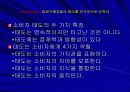 소비의 심리학 발표 ppt 20페이지