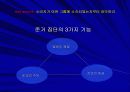 소비의 심리학 발표 ppt 26페이지