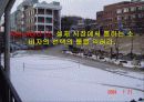 소비의 심리학 발표 ppt 37페이지
