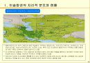 이슬람권의 지리적 분포와 문명 4페이지
