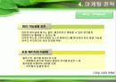 자일리톨 마케팅사례연구 10페이지