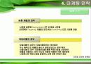 자일리톨 마케팅사례연구 17페이지