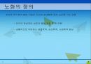 노화이론 4페이지