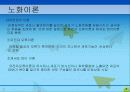 노화이론 6페이지