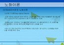 노화이론 8페이지