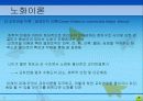 노화이론 9페이지
