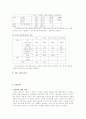 FGI 분석보고서 - 레미안 17페이지