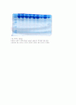 SDS-PAGE 5페이지