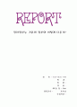 전자정부는 기존의 정부와 어떻게 다른가? 1페이지